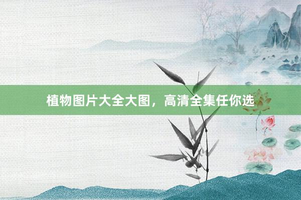 植物图片大全大图，高清全集任你选