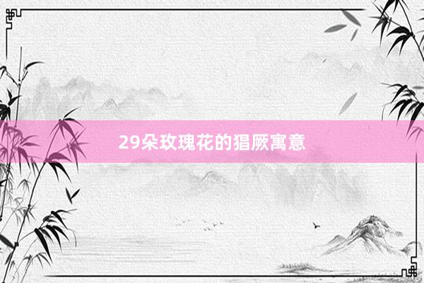 29朵玫瑰花的猖厥寓意