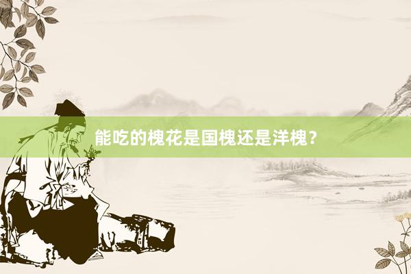 能吃的槐花是国槐还是洋槐？