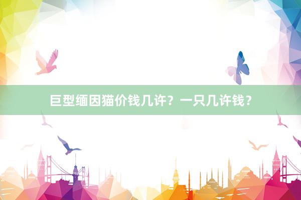 巨型缅因猫价钱几许？一只几许钱？