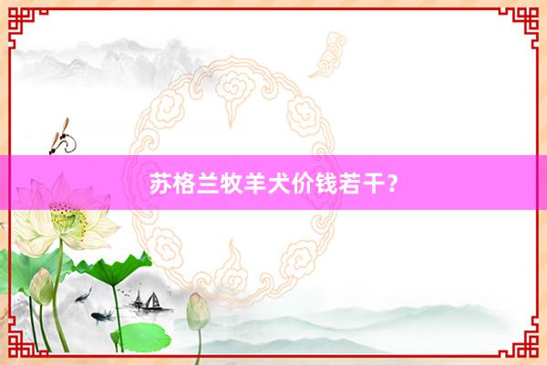 苏格兰牧羊犬价钱若干？